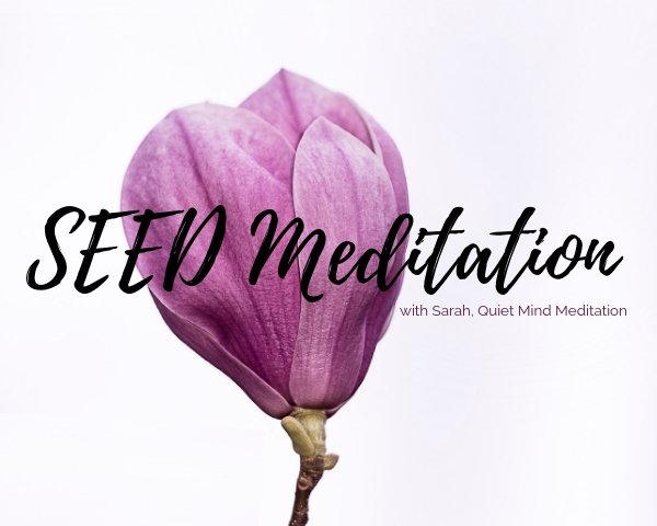 SEED Meditation course