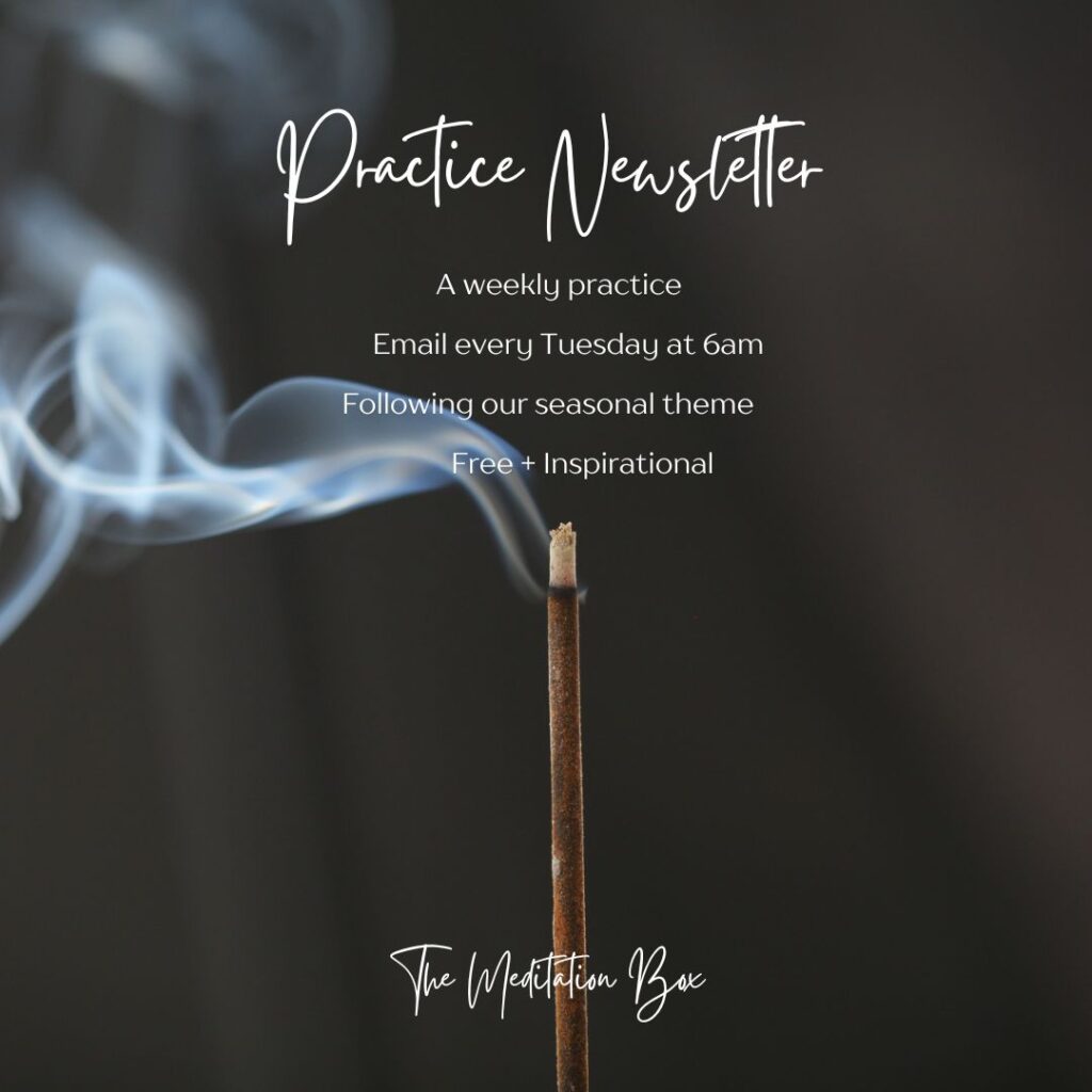 Practice Newsletter, The Meditation Box